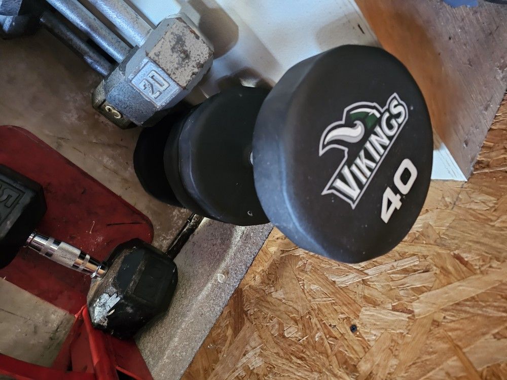 Viking 40 Pound Dumbbells