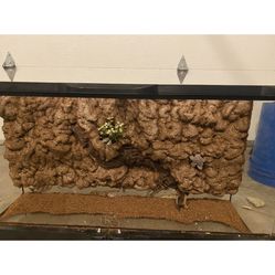 Tank With Custom Background