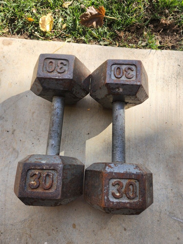 30lb Dumbbells