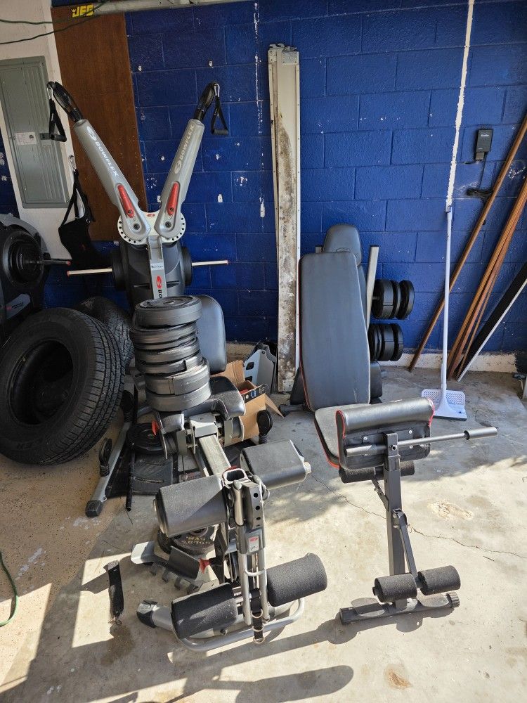 Gym Equipment