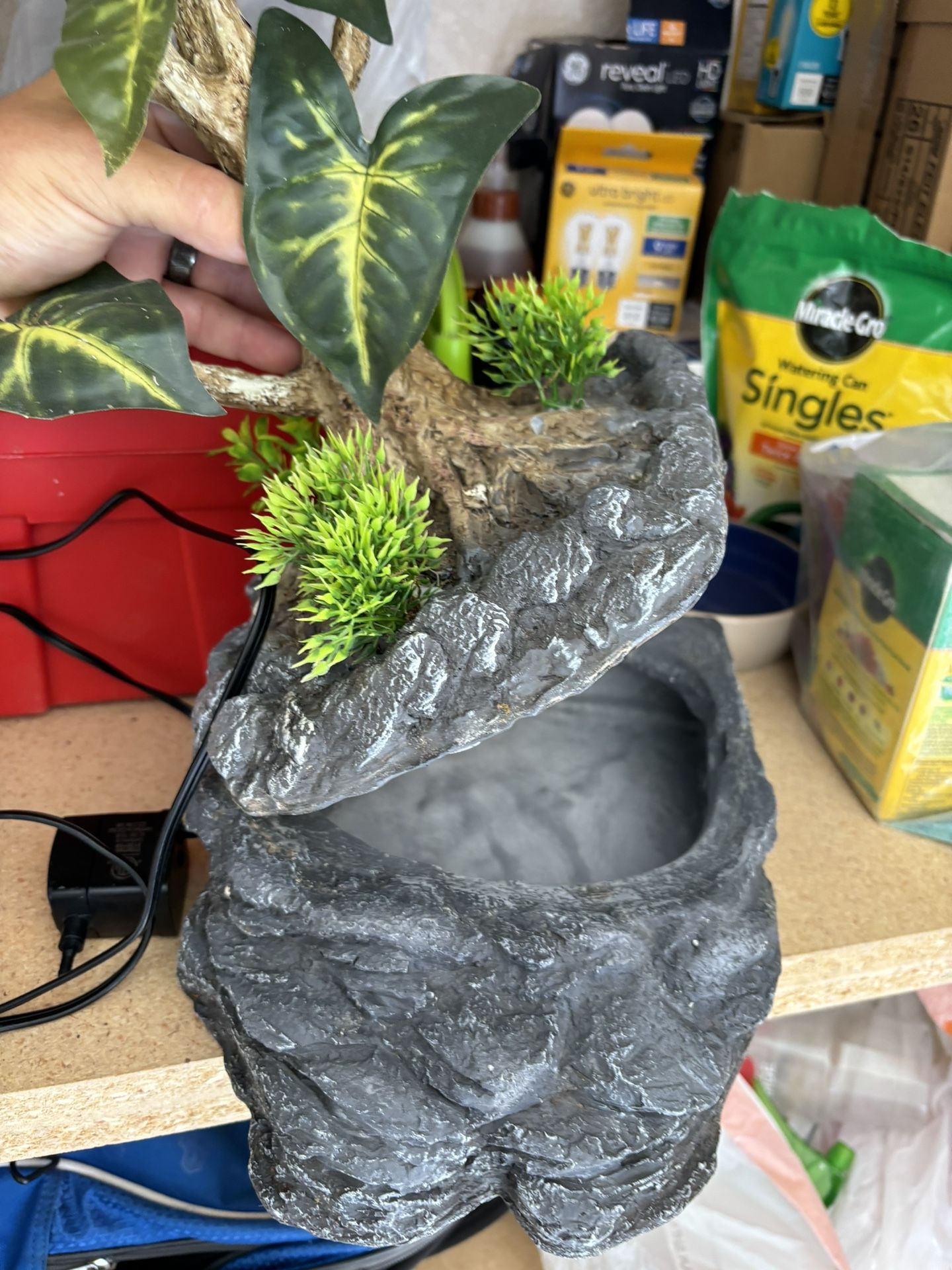 Reptile terrarium for Sale in Chandler, AZ - OfferUp
