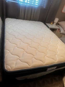 Free Mattress