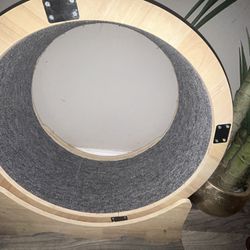 Kitten Exercise Wheel