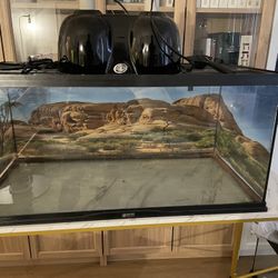 Zoo Med Lizard Tank 