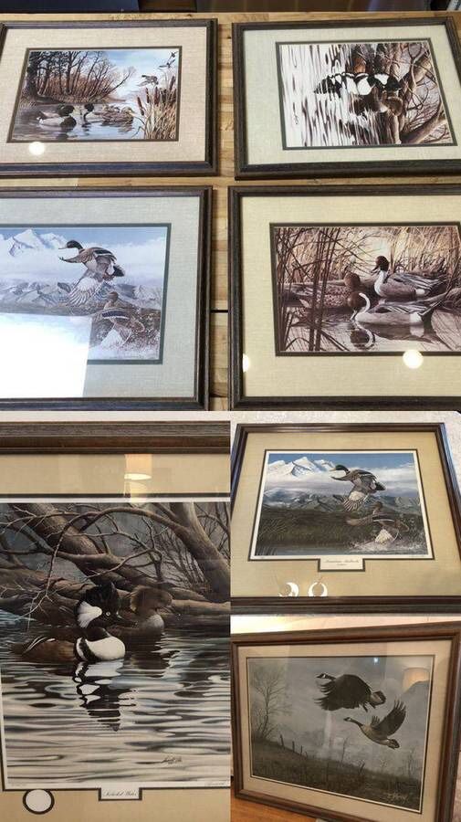 LARGE Collection of Art by Famous Nature Artist Harold Roe