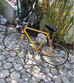 Vintage TAKARA Bike 12 Speed
