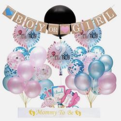 Gender Reveal Baby Shower Party Supplies 