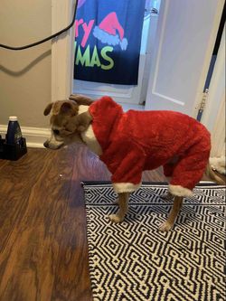 Dog Christmas Elk Costume
