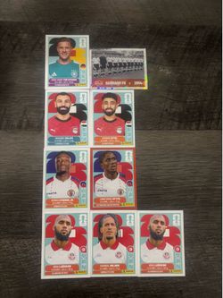Panini World Cup Stickers
