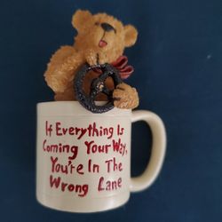 If Everything Is Going Your Way You're In The Wrong Lane Bear In Cup 