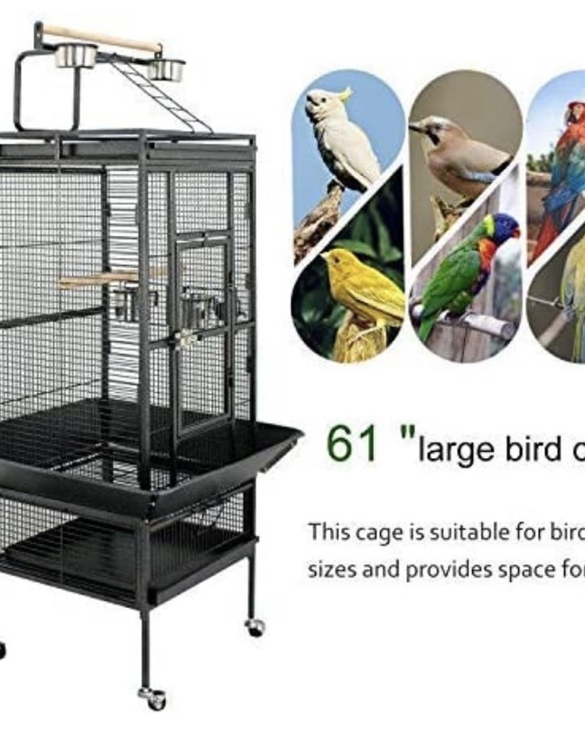 Cage Bird 61”