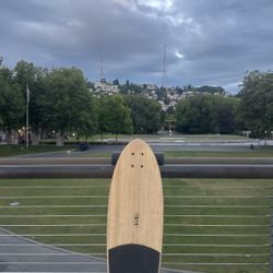 Globe Cruiser Zuma Onshore/Flat 9.7" x 31.5" 