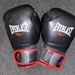 Boxing Gloves 16 oz
