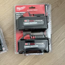 Milwaukee 6.0 Battery Set (2)