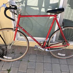 Vintage Schwinn