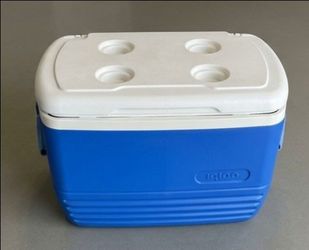 Igloo Cooler with Cup Holders