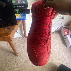 Jordan 12
