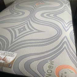 Mattress  Box Spring And Metal 