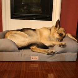 Large Size Memory Foam Dog Bed