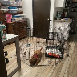 Dog Pen