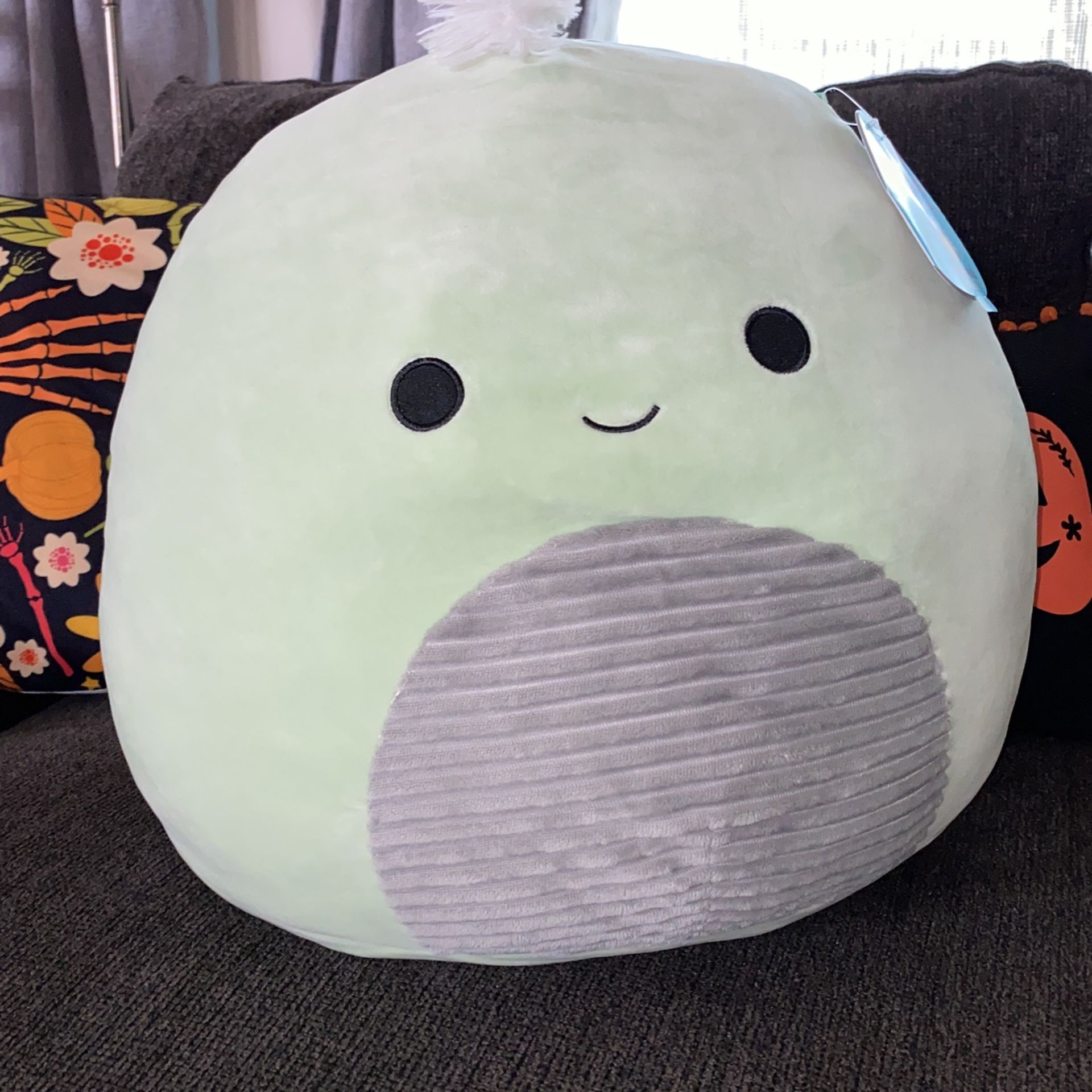 Squishmallow Turtle Herb