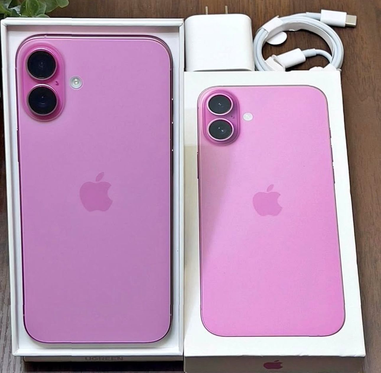 iPhone 16 Plus