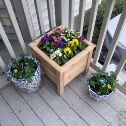 Cedar Planter Boxes – Handmade 🌿