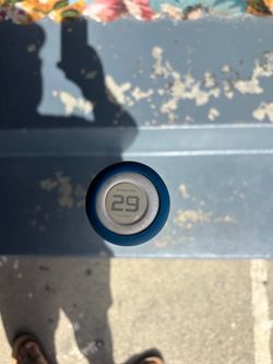 Bat