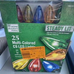 New Home Accents 25 Multi Colored C9 Led Lights