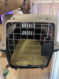 Dog cage