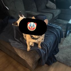 Perfect Sectional For Sale Pickup Only