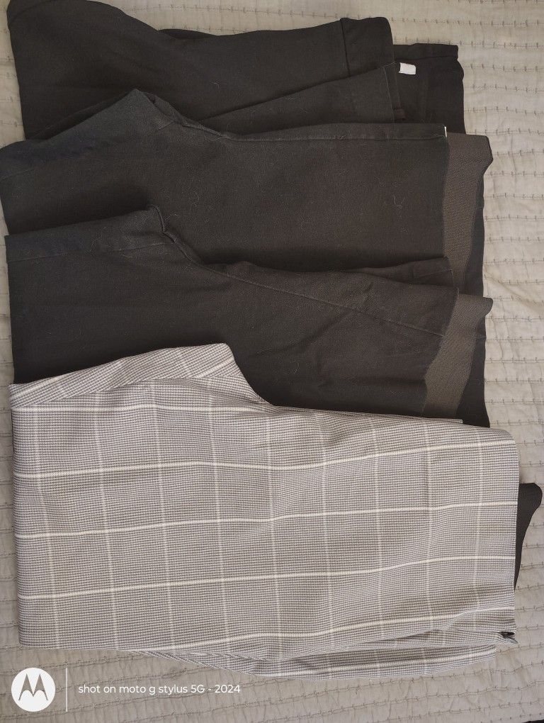 Women's High Rise Pants