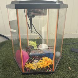 NeoGlow LED Hexagon Orange Fish Tank