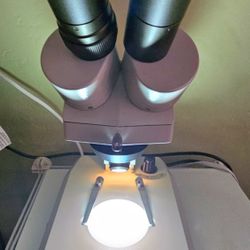 Microscope (T-2204)