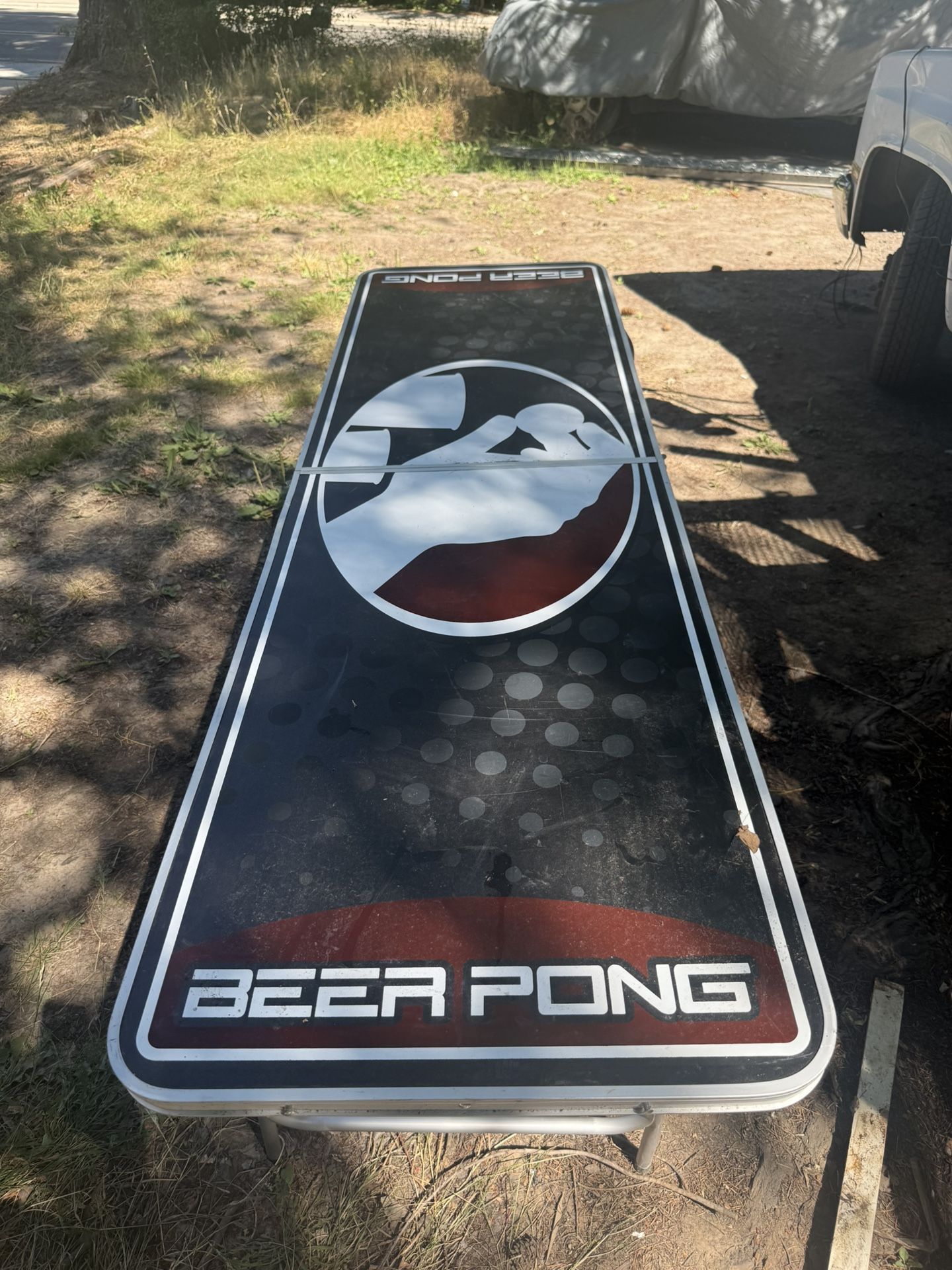 Beer Pong Table