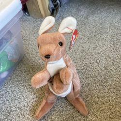 Poach The Beanie Baby 