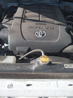 Toyta tundra