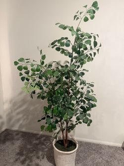 72”Artificial Eucalyptus Tree with Basket Pot