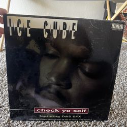 The Original ice Cube Album Check Yo Self From 1993