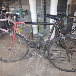 Fuji Bike For Sale