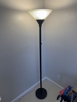 Standing Floor Lamp (77in)