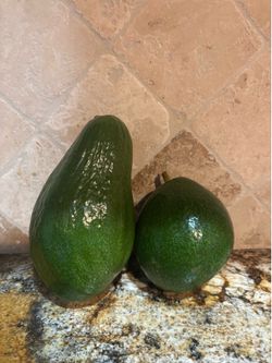 Home grown avocados for sale