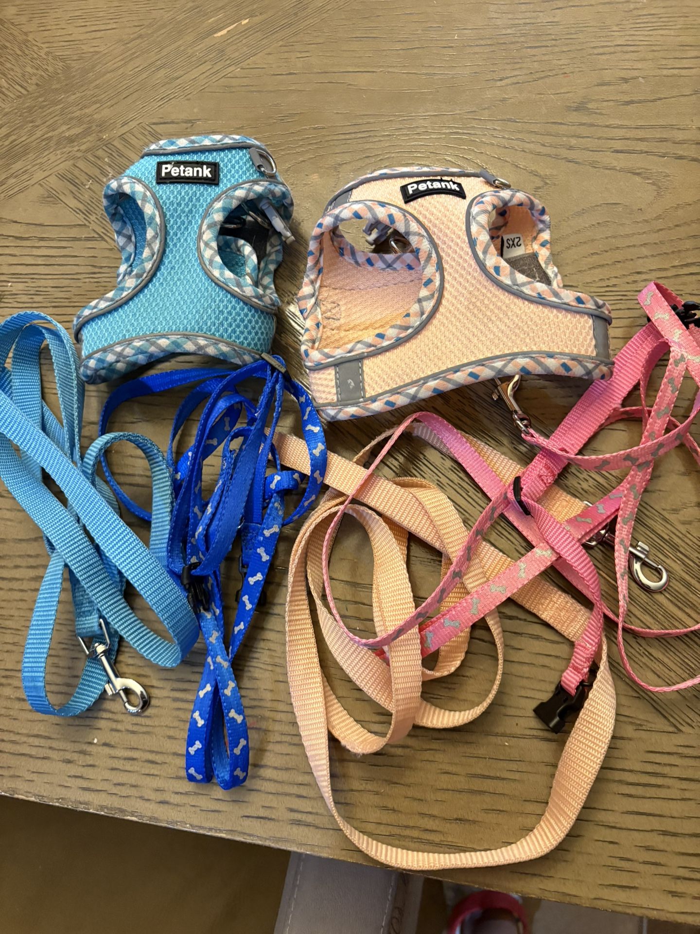 Dog Harnesses, Collars and Leash