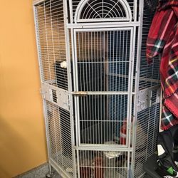 Birdcage For Sale