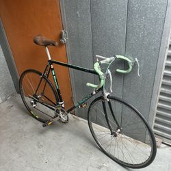 Bianchi Brava 56cm 