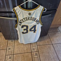 Brewers Giannis Jersey XL