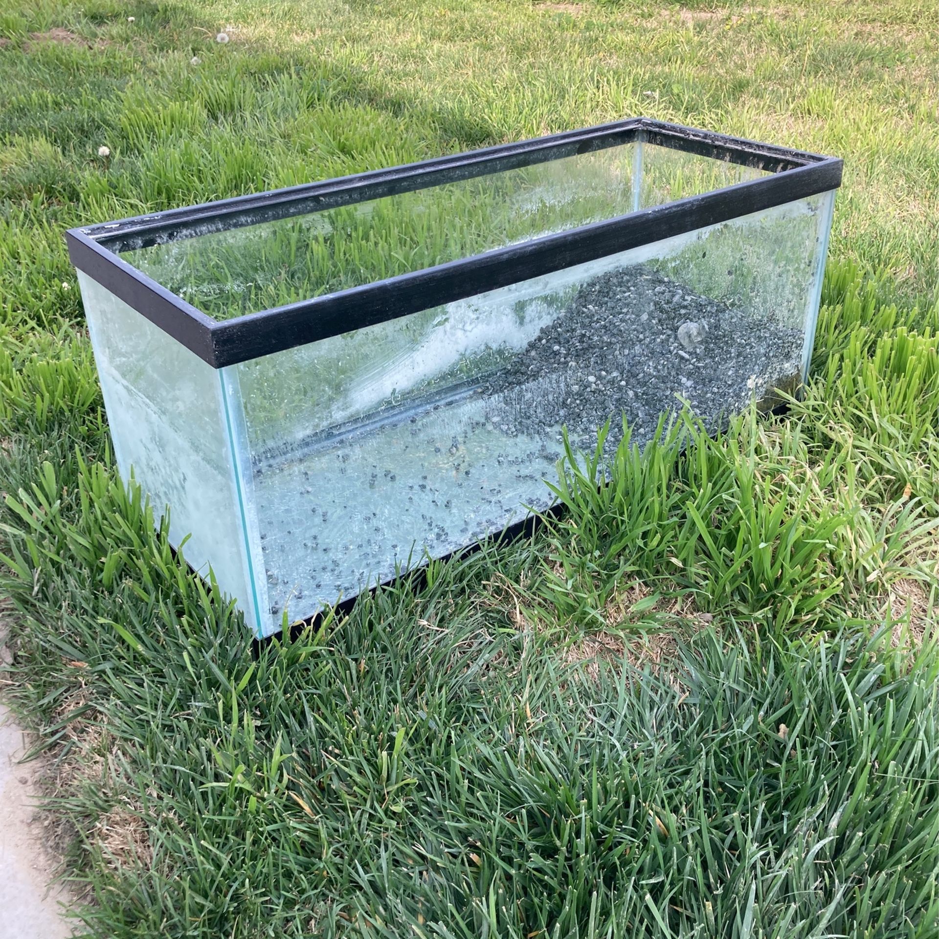 20-gallon-long-fish-tank-for-sale-in-kerman-ca-offerup