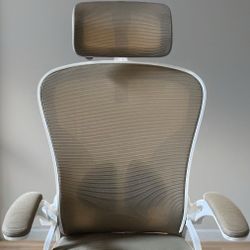Ergonomic Desk chair
