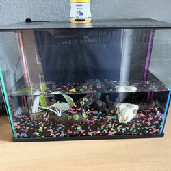 5 gallon fish tank with built in pump