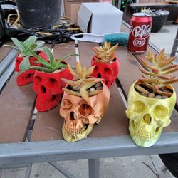 Skull Holder For Pens\plants Halloween Desktop Desk Table